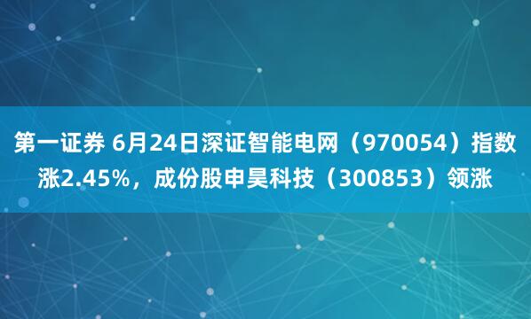 第一证券 6月24日深证智能电网(970054)指数涨2.45%,成份股申昊科技(300853)领涨