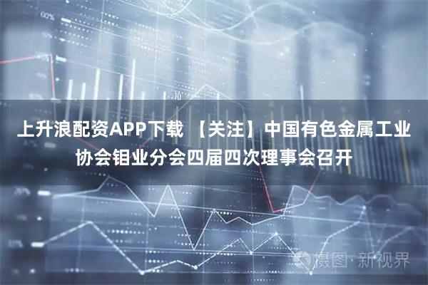 上升浪配资APP下载 【关注】中国有色金属工业协会钼业分会四届四次理事会召开